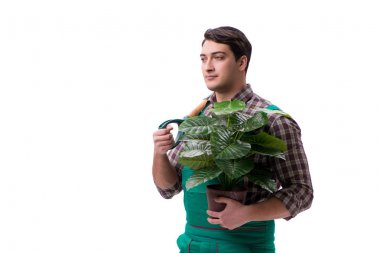 Genç bahçıvan beyazı izole etmiş.