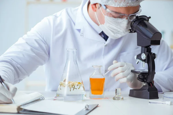 Chemist mixing perfumes in the lab