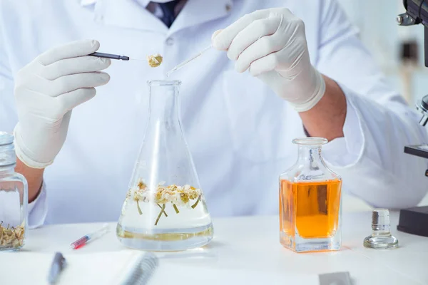 Laboratuvarda parfüm karıştıran bir kimyager. — Stok fotoğraf