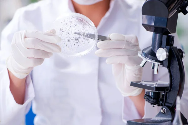 Pesquisadora cientista conduzindo uma experiência em um labora — Fotografia de Stock