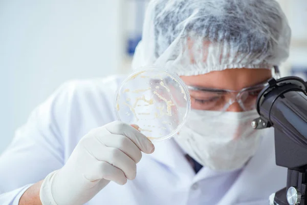 Доктор досліджує лікування вірусів у лабораторії — стокове фото