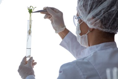 Bir laboratuarda deney yapan kadın bir bilim adamı.