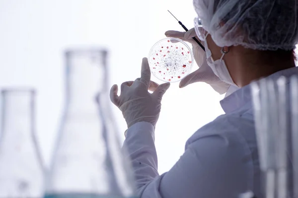 Vrouwelijke wetenschapper onderzoeker voert een experiment uit in een laboratorium — Stockfoto