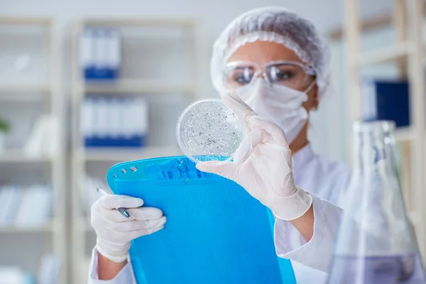 Pesquisadora cientista conduzindo uma experiência em um labora — Fotografia de Stock