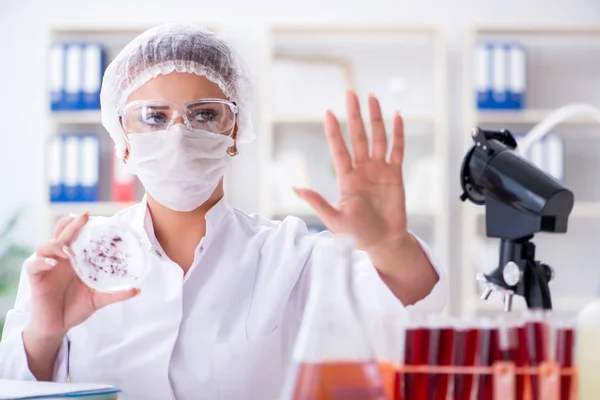 Investigadora científica que realiza un experimento en un labora —  Fotos de Stock