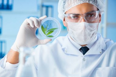 Laboratuvarda bilim adamıyla biyoteknoloji kavramı