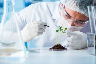 Laboratuvarda bilim adamıyla biyoteknoloji kavramı