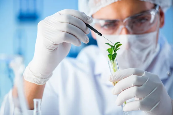 Concepto de biotecnología con científico en laboratorio —  Fotos de Stock