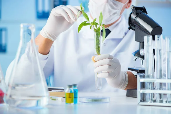 Concepto de biotecnología con científico en laboratorio — Foto de Stock