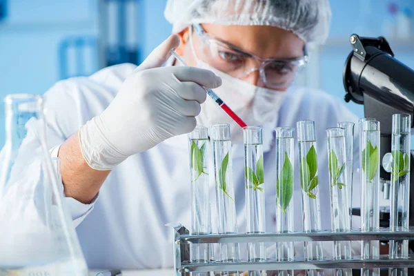 Concepto de biotecnología con científico en laboratorio —  Fotos de Stock