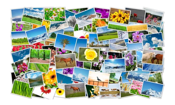 Frame gemaakt van verschillende natuurfoto 's — Stockfoto