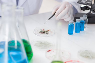 Laboratuvarda virüs aşısı üzerinde çalışan erkek doktor.