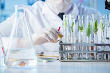 Laboratuvarda bilim adamıyla biyoteknoloji kavramı