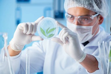 Erkek bilim adamı bir laboratuarda deney yapıyor.