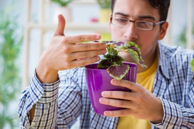 Çiçekçide çalışan genç bir adam.