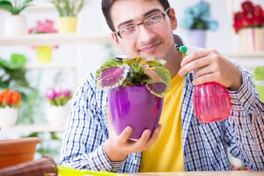 Bahçıvan çiçekçide çalışıyor. Çiçekçide çalışıyor.