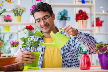 Çiçekçide çalışan genç bir adam.