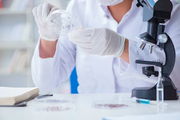 Peneliti wanita melakukan percobaan di laboratorium. — Stok Foto