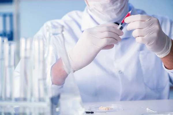 Investigadora científica que realiza un experimento en un labora — Foto de Stock