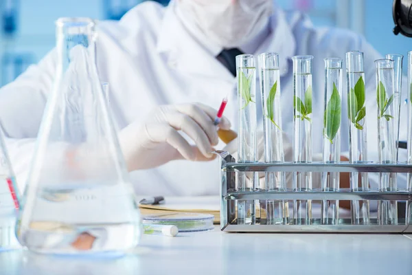 Laboratuvarda bilim adamıyla biyoteknoloji kavramı