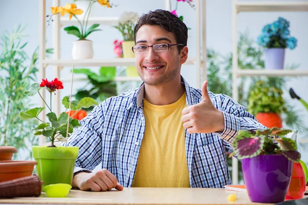 Çiçekçide çalışan genç bir adam.