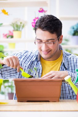 Bahçıvan çiçekçide çalışıyor. Çiçekçide çalışıyor.