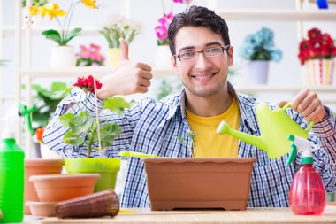 Bahçıvan çiçekçide çalışıyor. Çiçekçide çalışıyor.