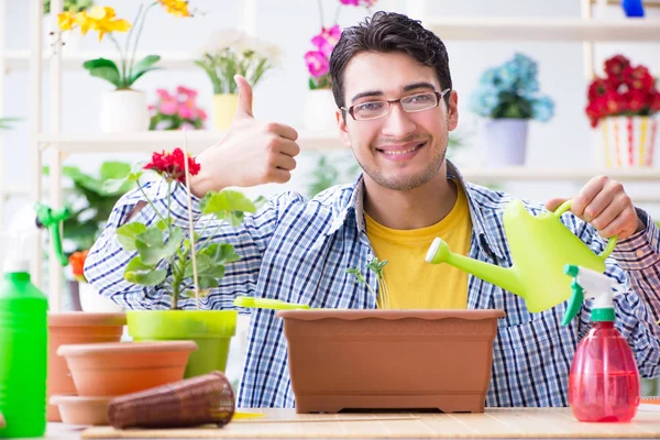 Bahçıvan çiçekçide çalışıyor. Çiçekçide çalışıyor.