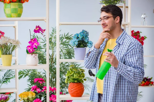 Çiçekçide çalışan genç bir adam.