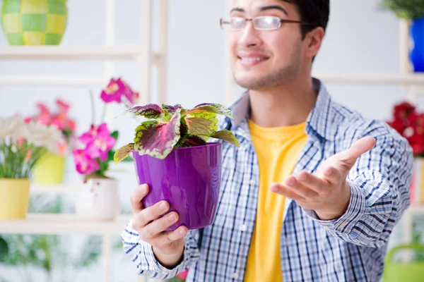 Tuinier bloemist werkt in een bloemenwinkel met huis planten — Stockfoto