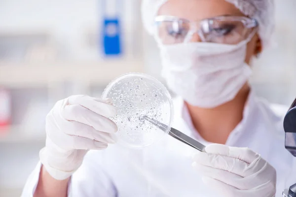 Vrouwelijke wetenschapper onderzoeker voert een experiment uit in een laboratorium — Stockfoto