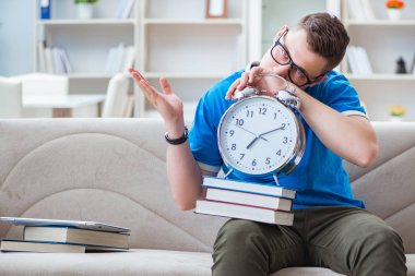 Sınavlara hazırlanan genç öğrenci kanepede ders çalışıyor.