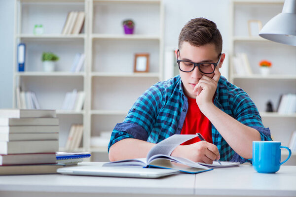 Young teenager preparing for exams studying at a desk indoors