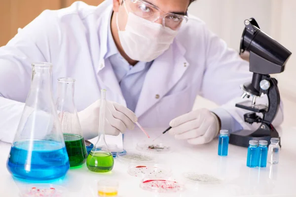 Male doctor working in the lab on virus vaccine — Stock Photo, Image