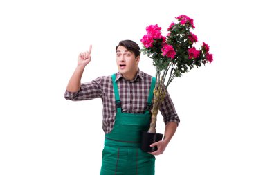 Genç bahçıvan beyazı izole etmiş.