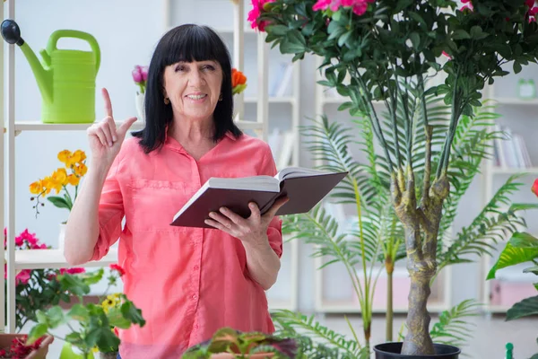 Çiçekçide çalışan kadın çiçekçi