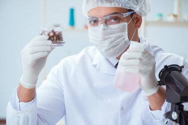 Laboratuvarda parfüm karıştıran bir kimyager.