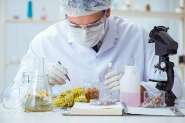 Laboratuvarda parfüm karıştıran bir kimyager.