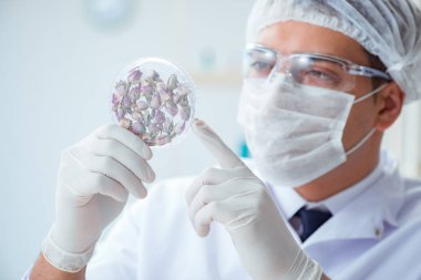 Laboratuvarda parfüm karıştıran bir kimyager.