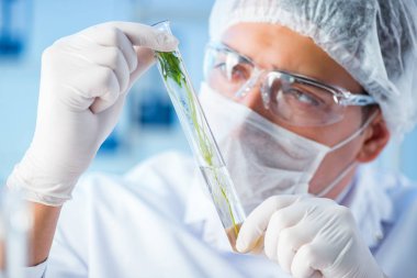 Laboratuvarda bilim adamıyla biyoteknoloji kavramı