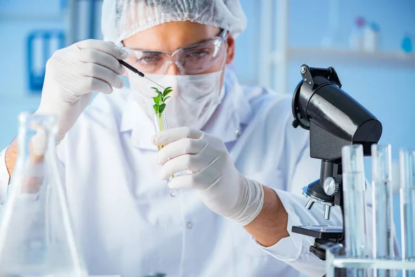 Concepto de biotecnología con científico en laboratorio —  Fotos de Stock