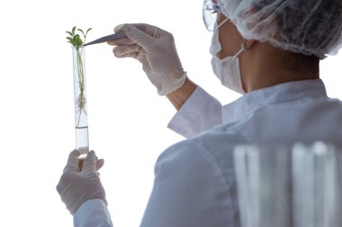 Bir laboratuarda deney yapan kadın bir bilim adamı.