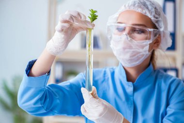 Bir laboratuarda deney yapan kadın bir bilim adamı.