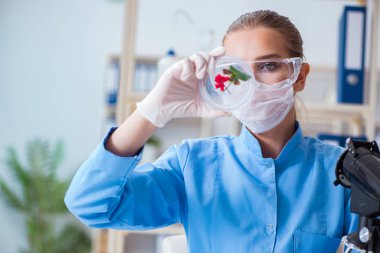 Bir laboratuarda deney yapan kadın bir bilim adamı.