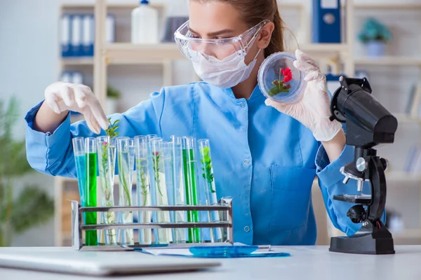 Kvinnlig forskare som utför ett experiment i ett laboratorium — Stockfoto