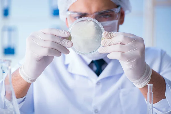 Vrouwelijke wetenschapper onderzoeker voert een experiment uit in een laboratorium — Stockfoto