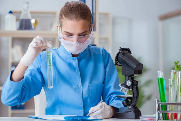 Investigadora científica que realiza un experimento en un labora — Foto de Stock