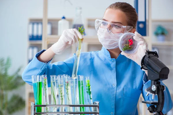 Vrouwelijke wetenschapper onderzoeker voert een experiment uit in een laboratorium — Stockfoto