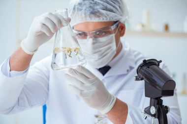 Laboratuvarda parfüm karıştıran bir kimyager.