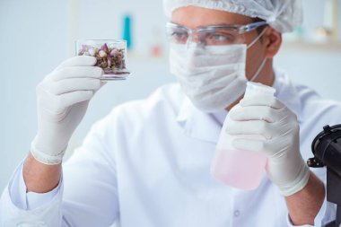 Laboratuvarda parfüm karıştıran bir kimyager.